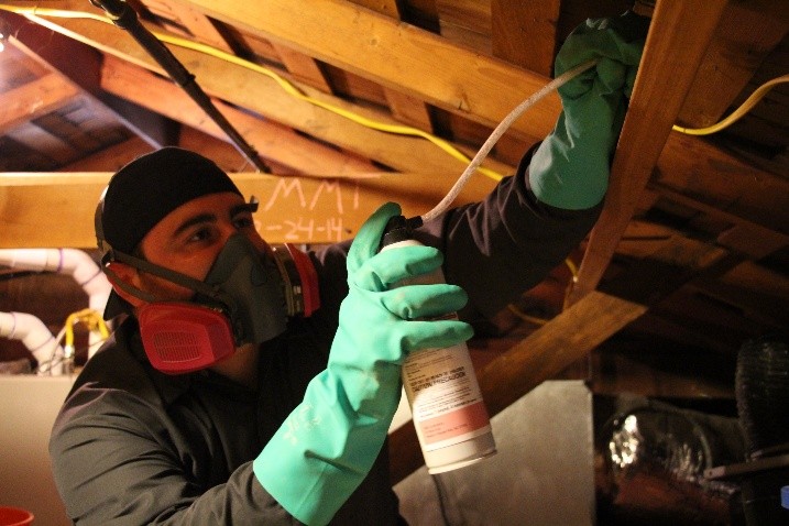 How Does Orange Oil Kill Termites