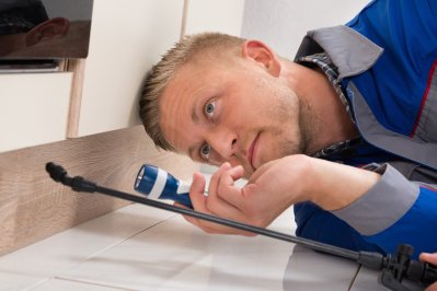 Pest control services technician inspecting under the kitchen cabinet for pests in the Bay Area, CA
