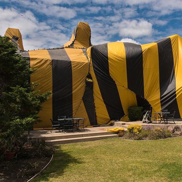 MightyMiteTermite_475709424