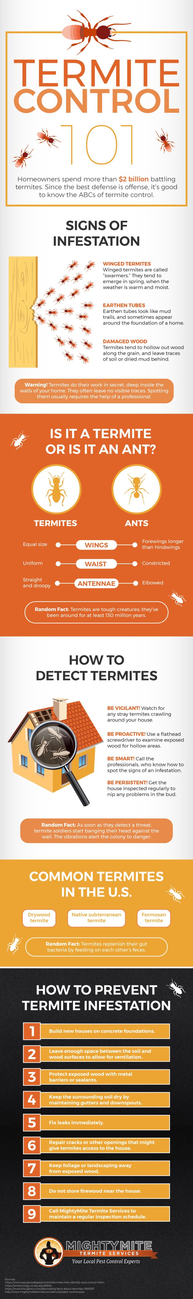Termite control 101