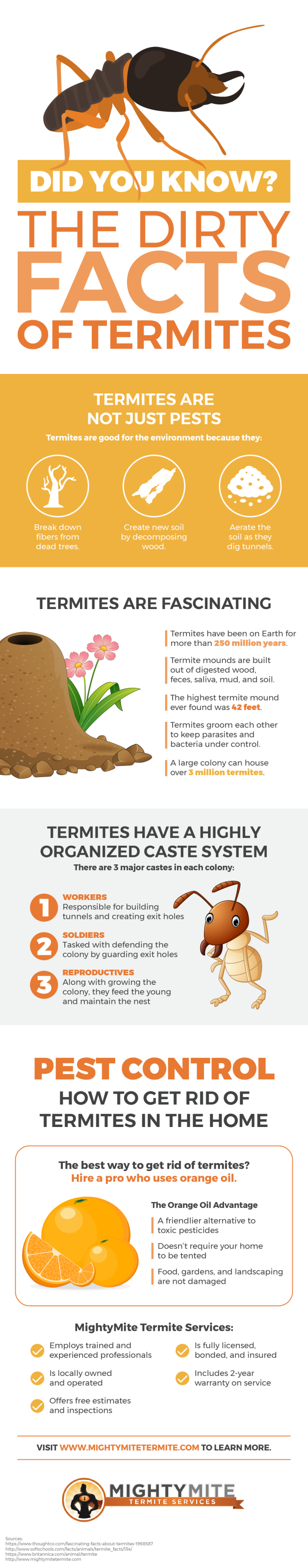 The dirty facts of termites