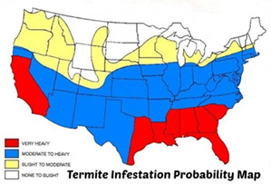 Termite infestation probability map