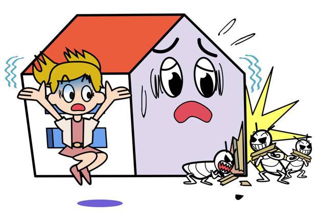 Termite problem in home