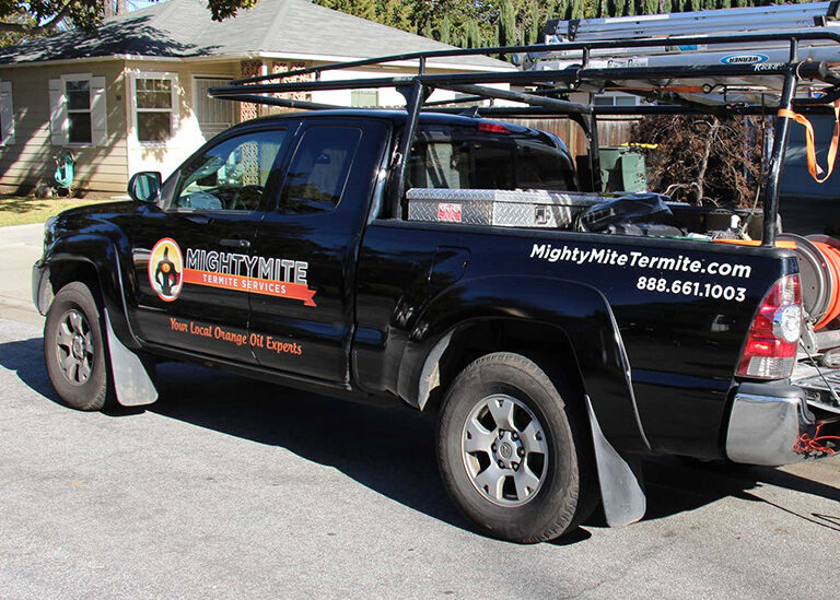 Termite Inspection And Control Company In The Bay Area