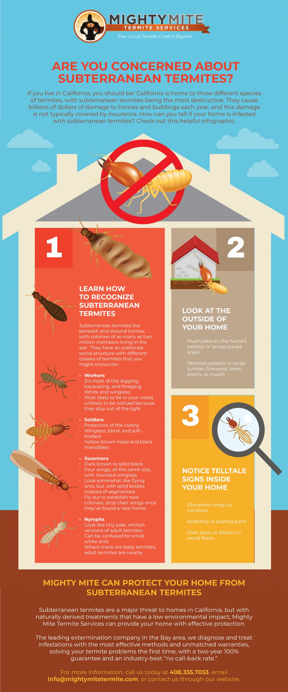 Are You Concerned About Subterranean Termites?