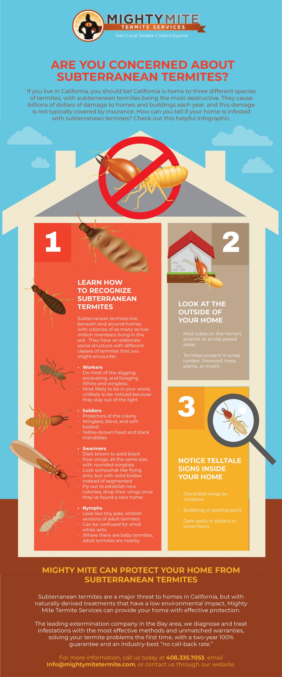 Subterranean termites infographic Mighty might