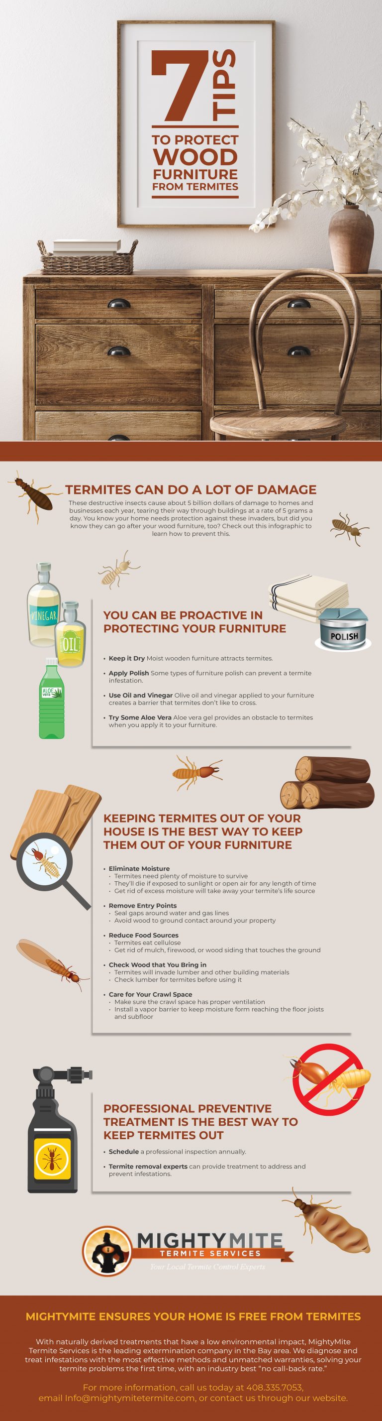 termites