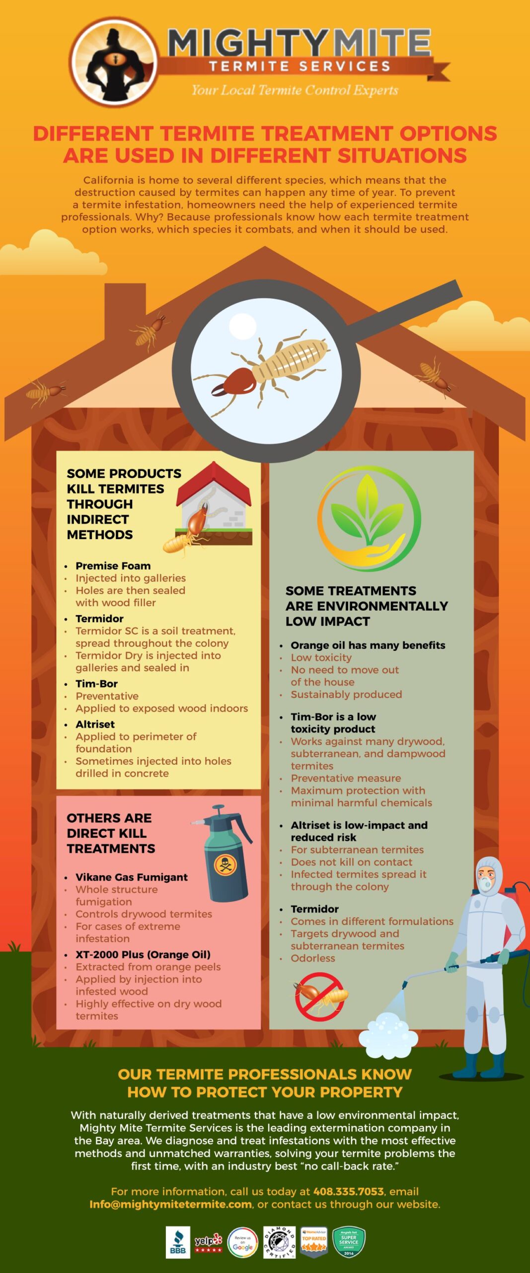 Infographic Termite Treatment Options