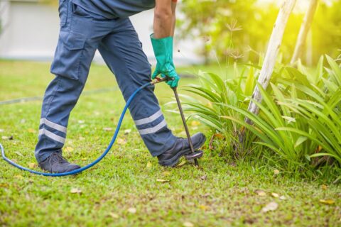 termite control technician treats the soil in a garden