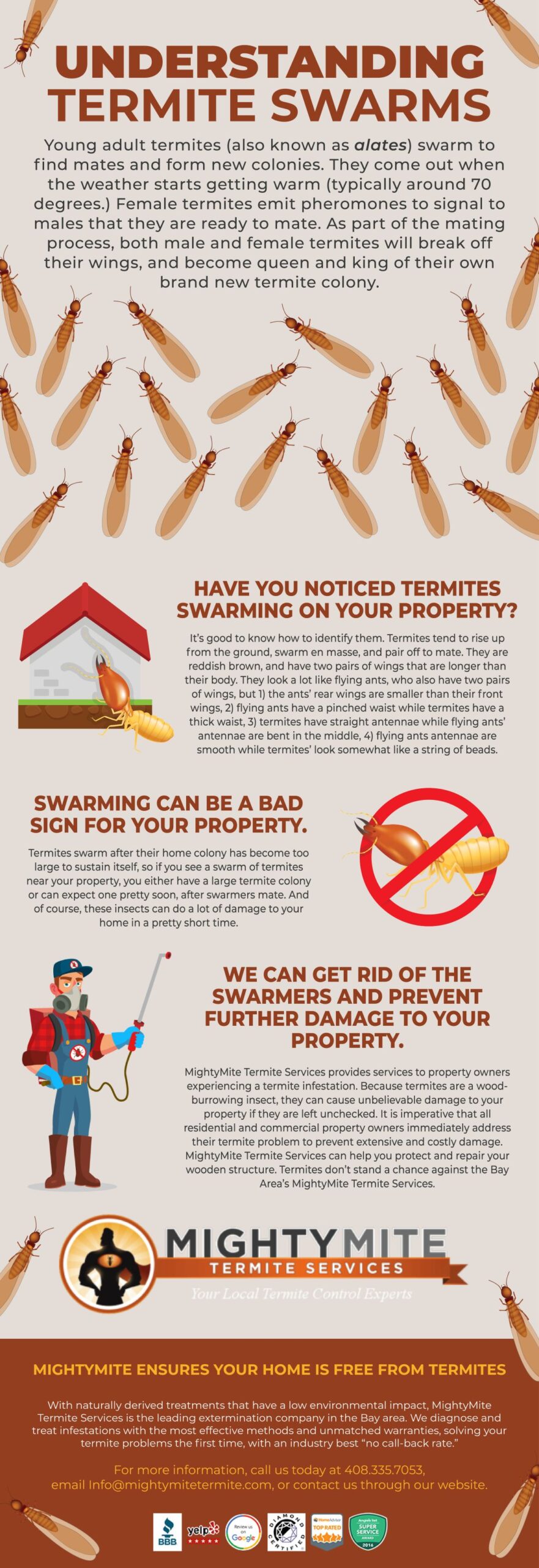 Understanding Termite Swarms