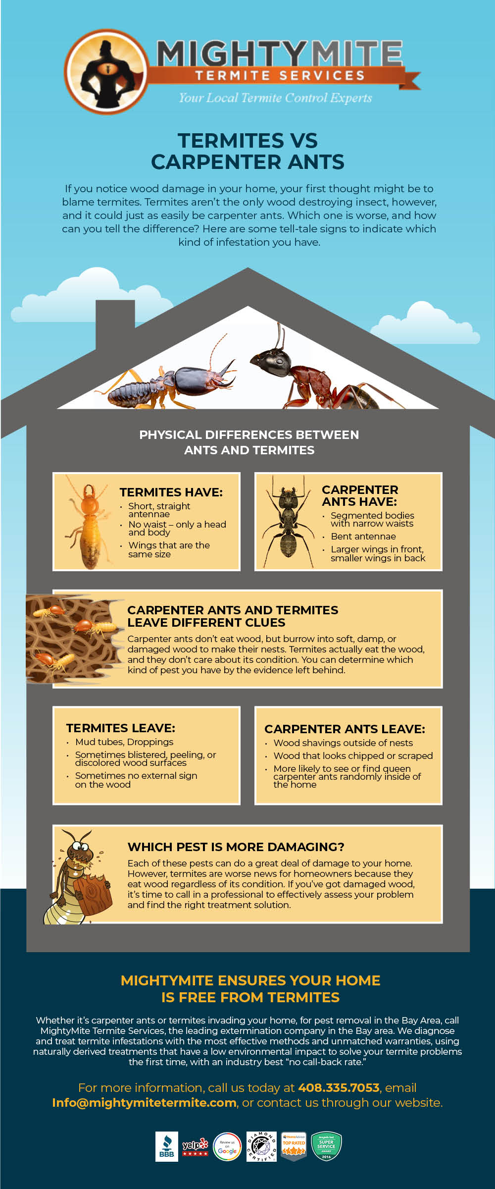 Carpenter ants and terminate leave diiferent clues 