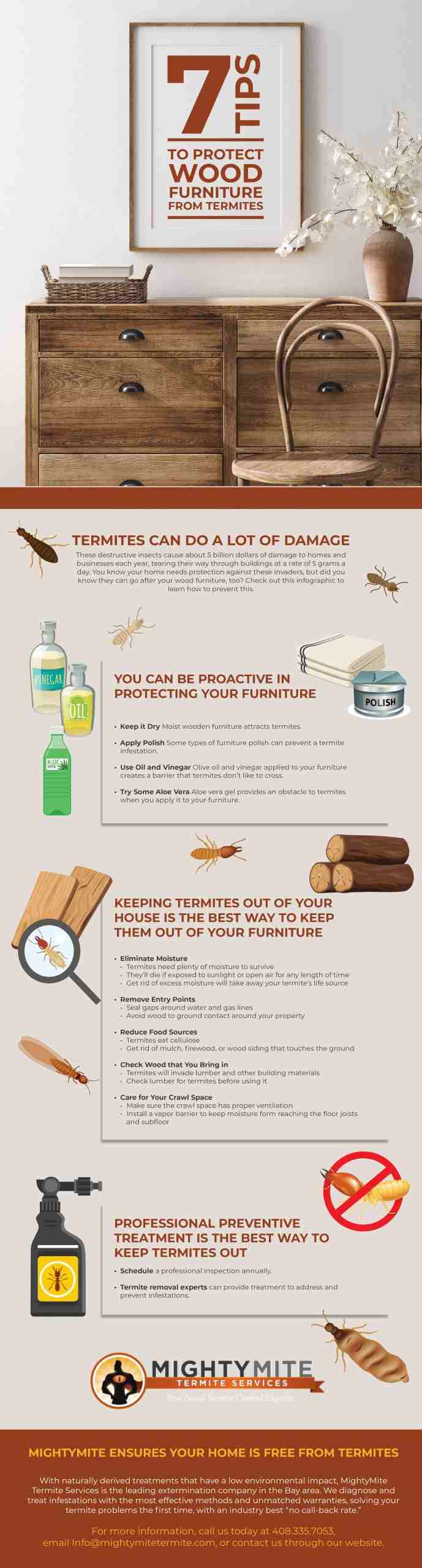 7 tips to protect wood from termites infographic