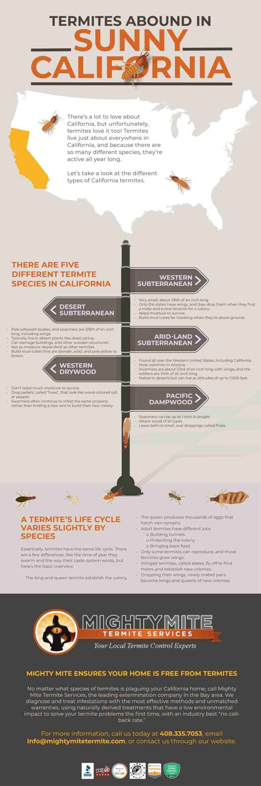 MightyMite Nov2021 Cali Infograph12