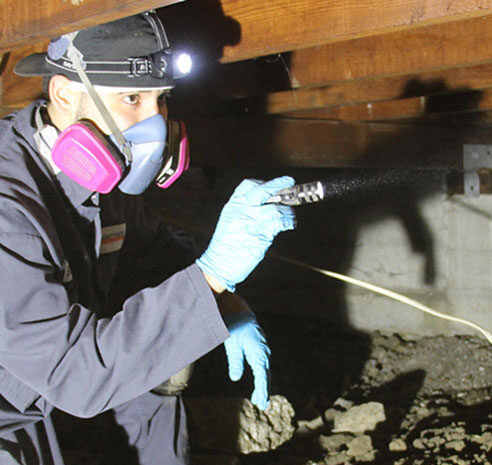 Thorough termite inspection done by MightyMite Termite Expert in the Bay Area, CA