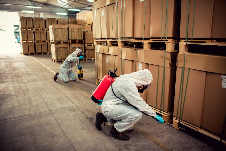 Commercial termite control solutions for businesses by MightyMite Termite in Bay Area, CA
