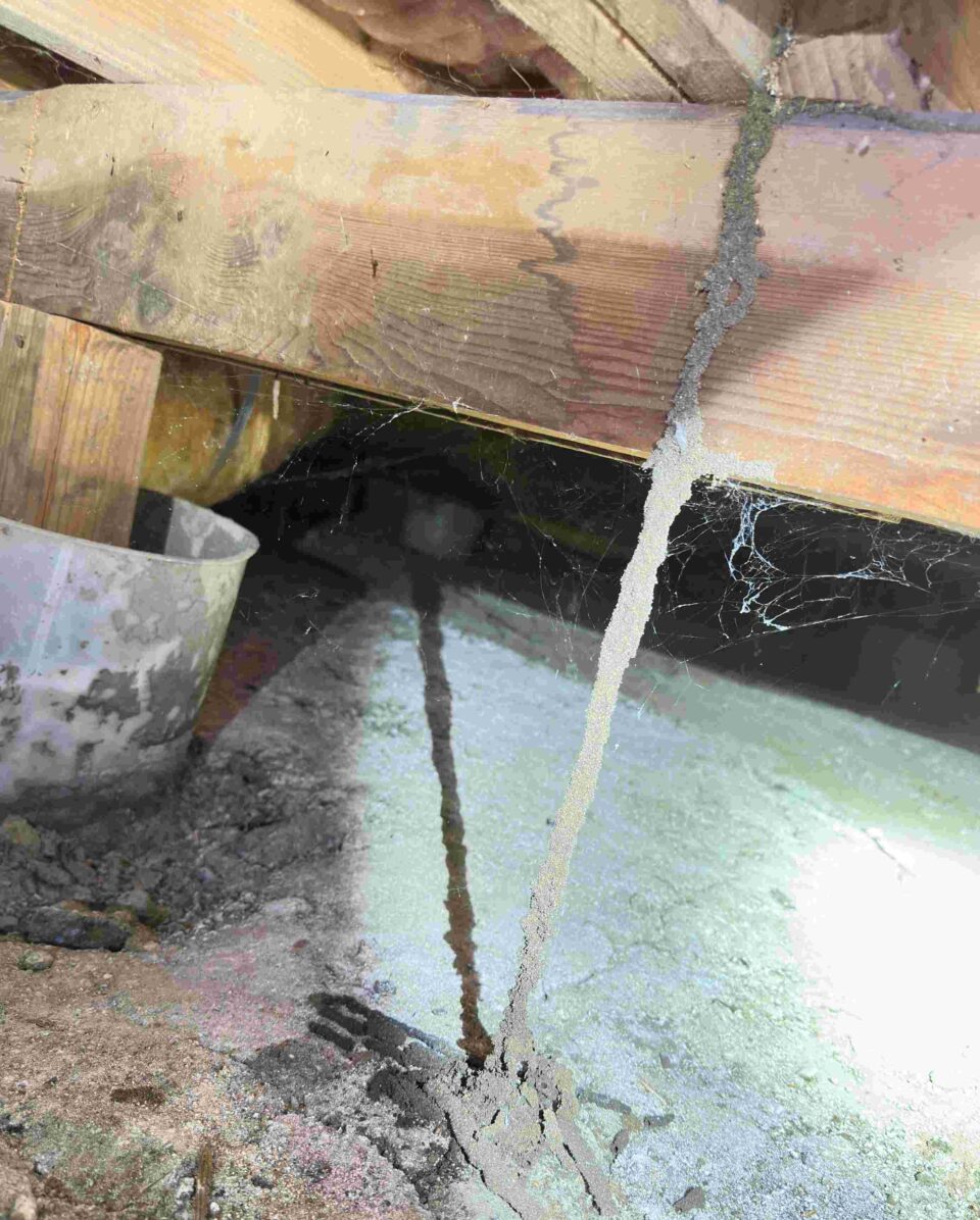 Subterranean termite mud tubes on wood beam and damaged slab foundation in the Bay Area, CA