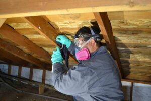 Technician performing fumigation & spot treatment in a kitchen cabinet in the Bay Area, CA 