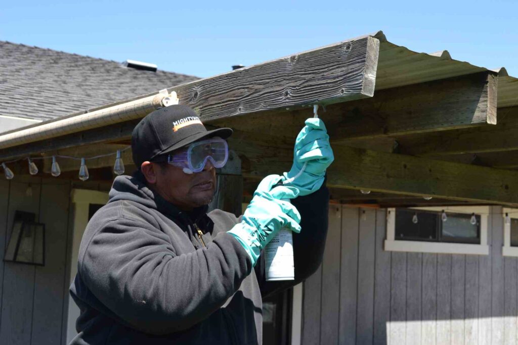 Technician performing termite spot treatment under a metal roof in a Bay Area, CA home.