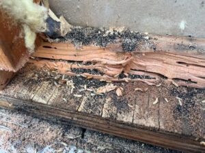 A wooden structure damaged by wood‑destroying pests in the Bay Area, CA, home.