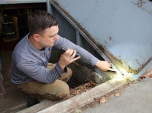 MightyMite Termite pest control expert inspecting a crawl space with a torch in the Bay Area, CA

